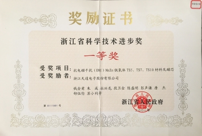 浙江省科学技术进步奖一等奖-抗电磁干扰猛锌TS系列